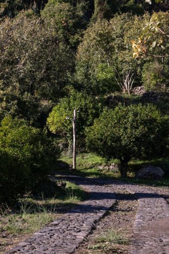 paesaggio agricolo02