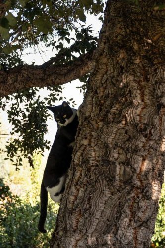 paesaggio agricolo03