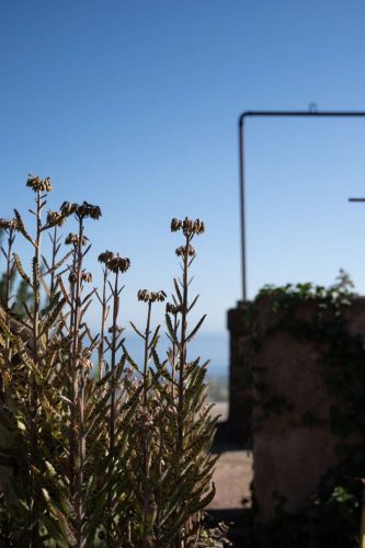 paesaggio agricolo05