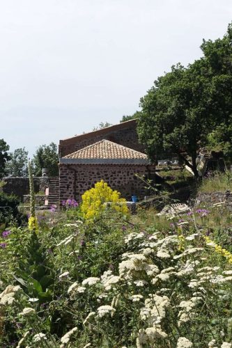 paesaggio agricolo06