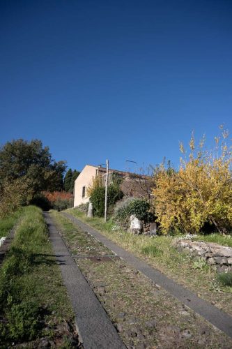 paesaggio agricolo08