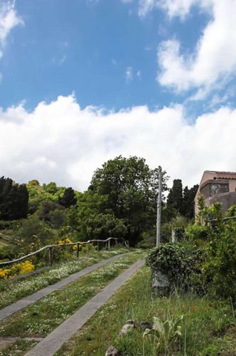 paesaggio agricolo12