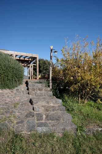 paesaggio agricolo13