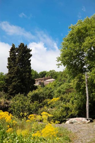 paesaggio agricolo18