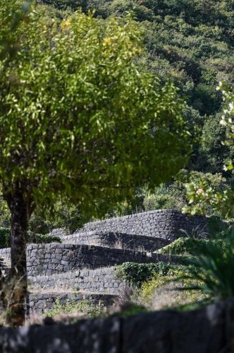 paesaggio agricolo19