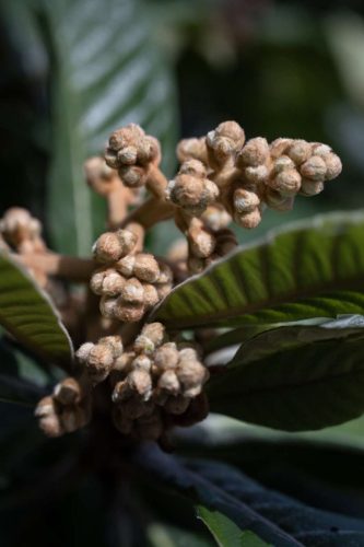 paesaggio agricolo20