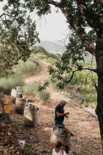 paesaggio agricolo26