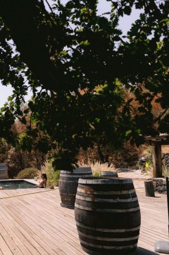 paesaggio agricolo27