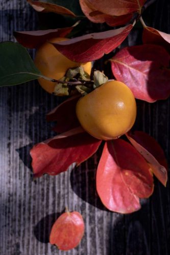 paesaggio agricolo30