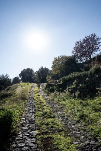 paesaggio agricolo33