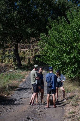 paesaggio agricolo34