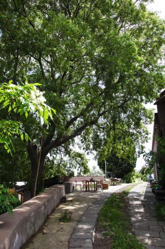 paesaggio agricolo36