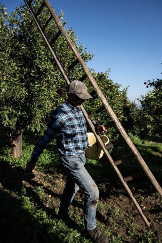 paesaggio agricolo40
