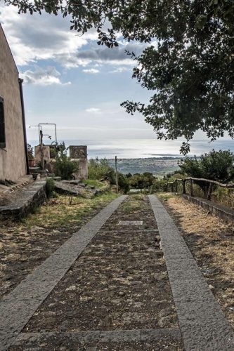 paesaggio agricolo41