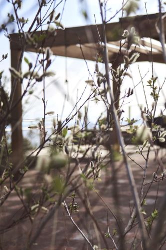 paesaggio agricolo42