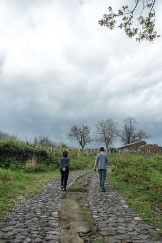 paesaggio agricolo46