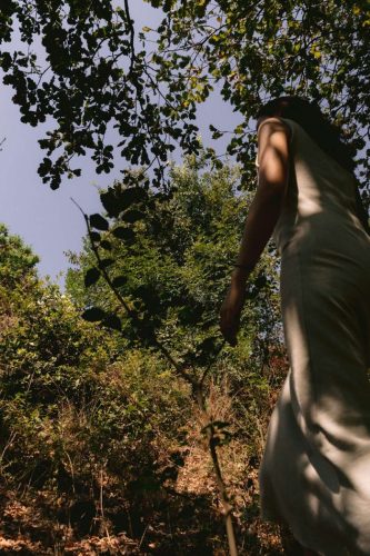 paesaggio agricolo50