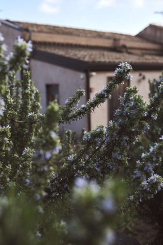 paesaggio agricolo55