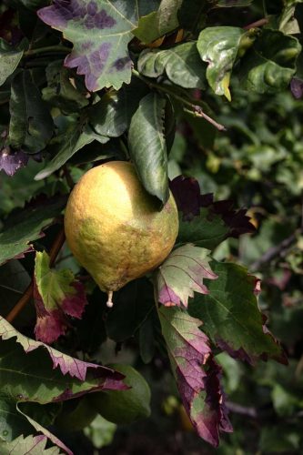 paesaggio agricolo56