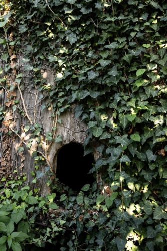 paesaggio agricolo57