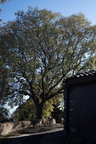 paesaggio agricolo60